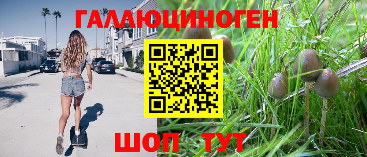Галлюциногенные грибы GOLDEN TEACHER  Вход с VPN  Бор 
